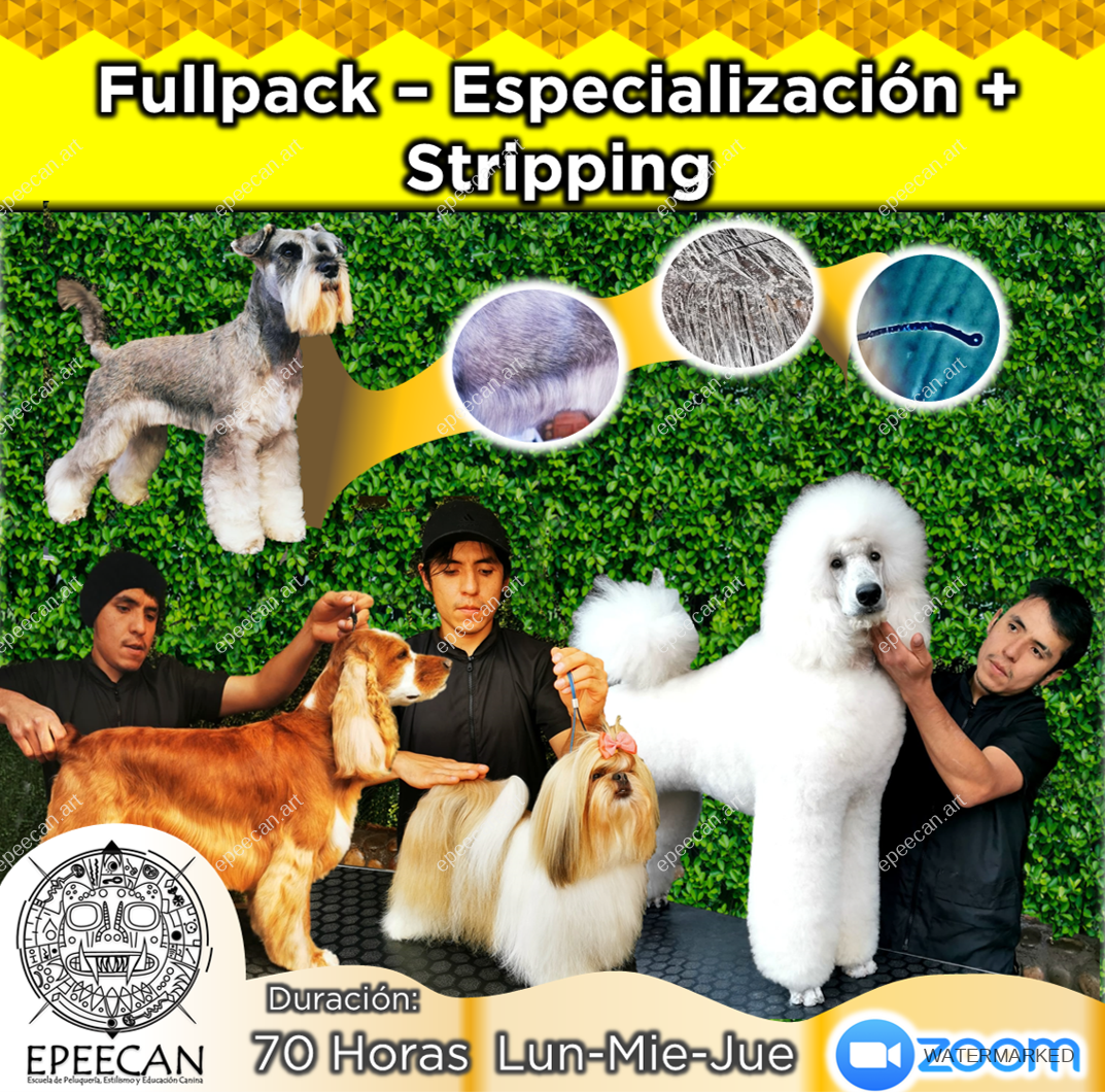 Full Pack - Especialización en Piel y Pelo para Groomers + Stripping