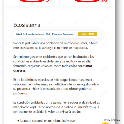 Imagen4