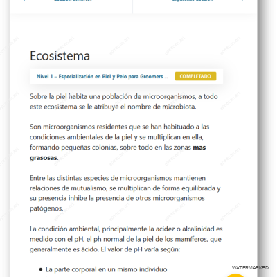 Imagen5