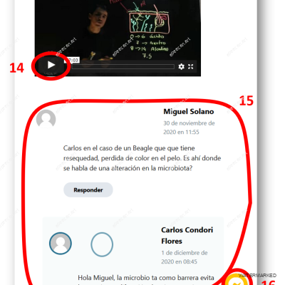 Imagen7